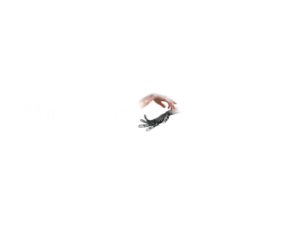 pijnenburg